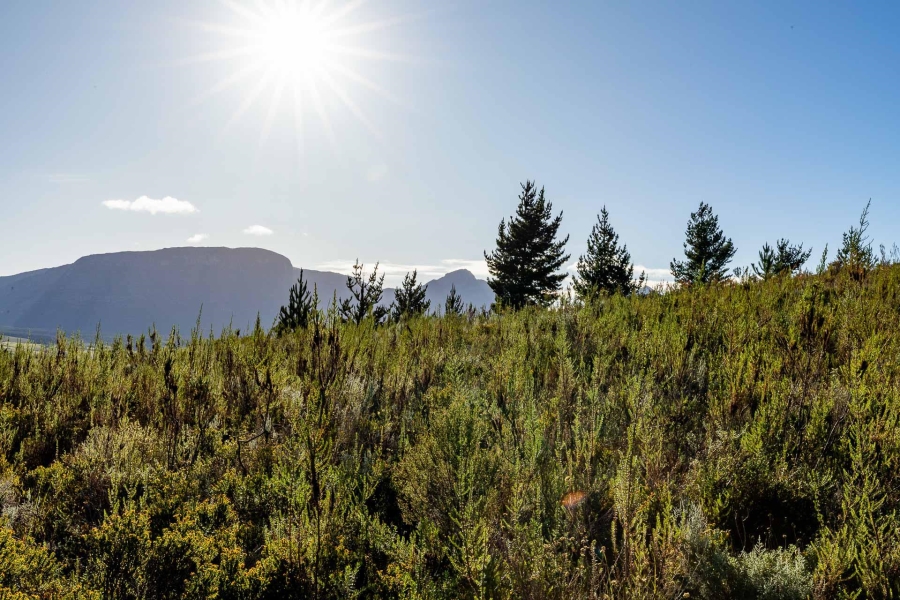 0 Bedroom Property for Sale in Heidelberg Rural Western Cape